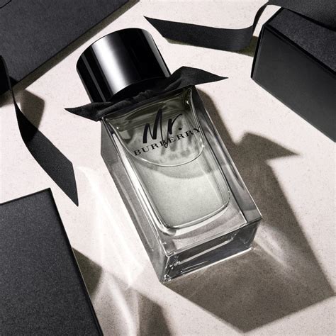 burberry eau de toilette mr burberry|Burberry classic eau de toilette.